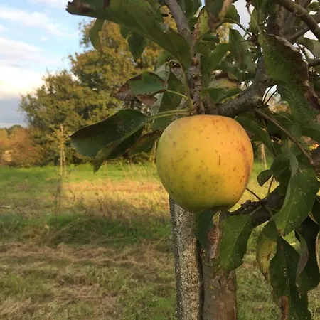 Le Du Prieure Bellefond