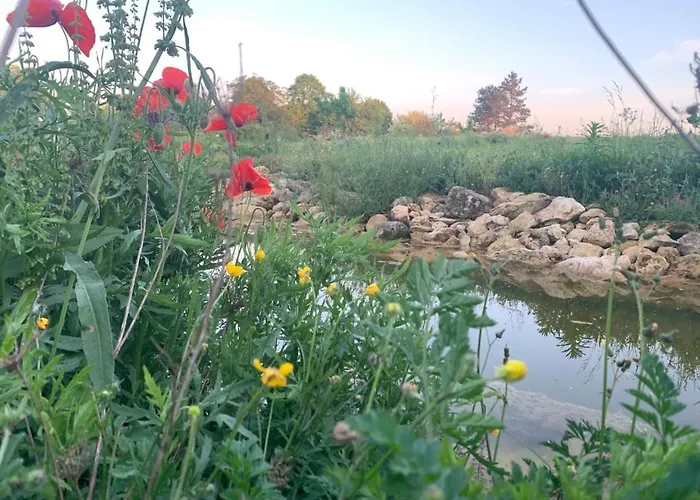 Le Du Prieure Holiday home *