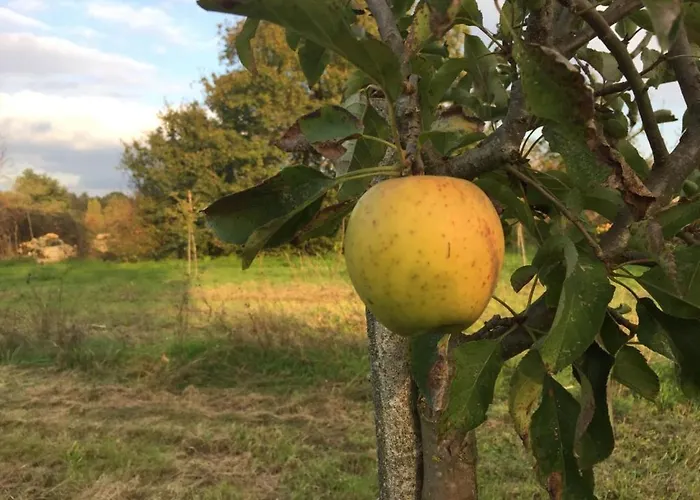 Le Du Prieure Bellefond